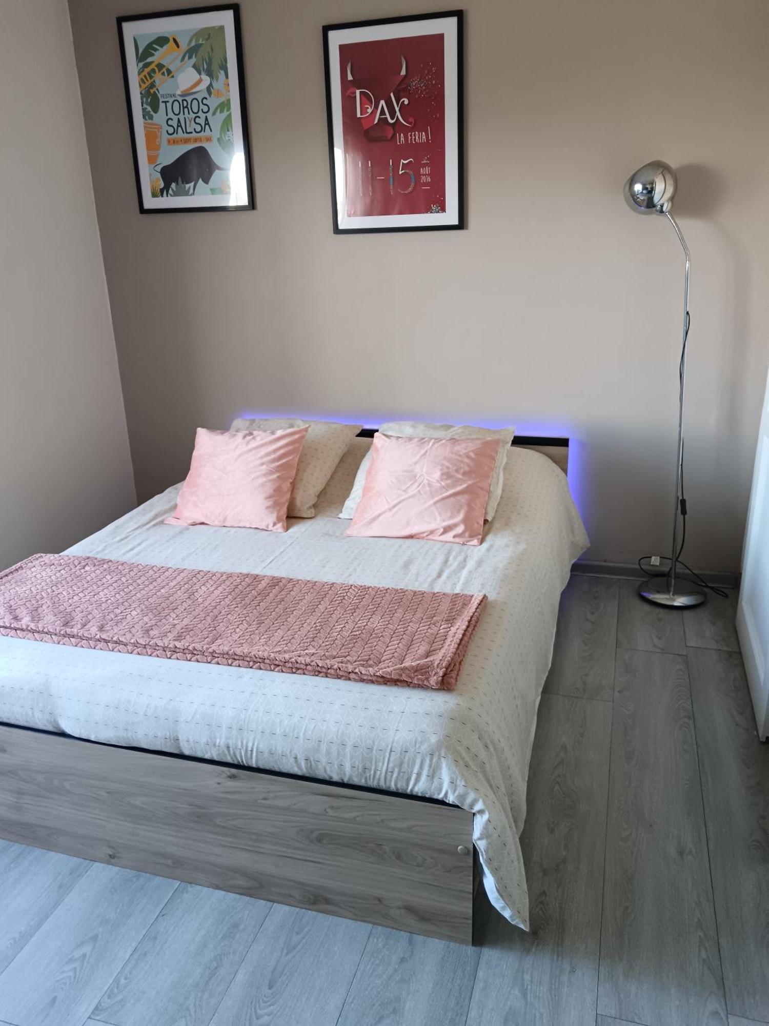 Studio Le Bosquet Apartment Dax Luaran gambar